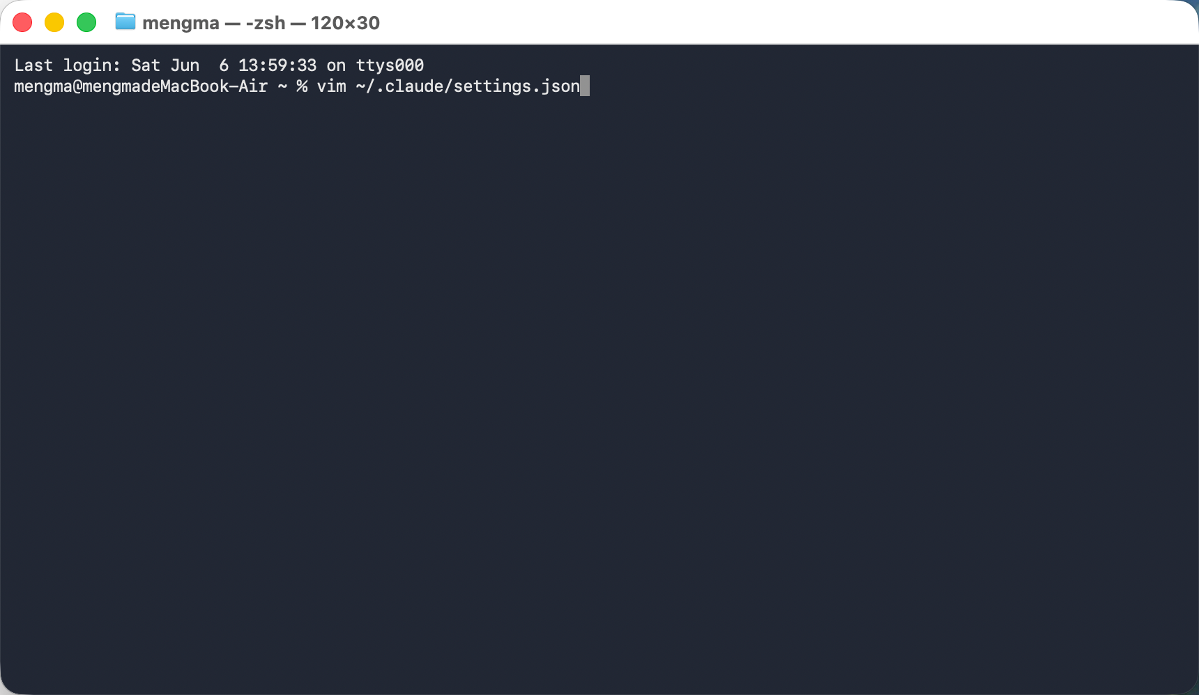 打开 settings.json